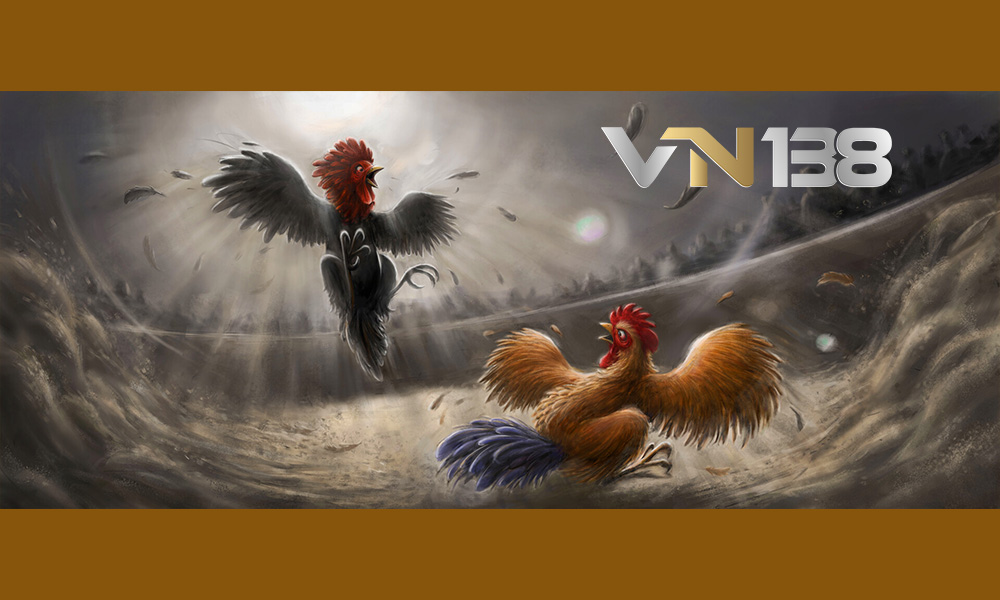 Giới thiệu VN138 Fun cổng đá gà trực tuyến